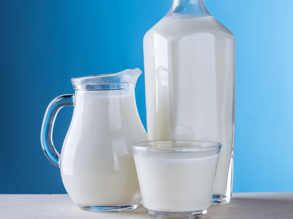 mléčné výrobky jsou základem kefírové diety